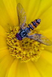 Similar image 22561651