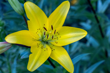 Similar image 22555476