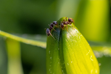 Similar image 22561652