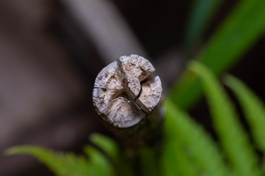 Similar image 22558972