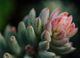 Similar image 22555477