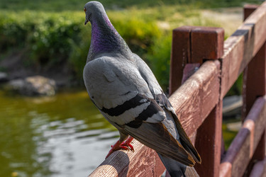 Similar image 22558973