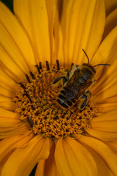 Similar image 22560669