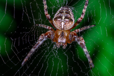 Similar image 22555486