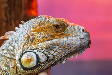 Similar image 22555487