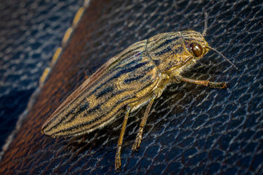 Similar image 22561653