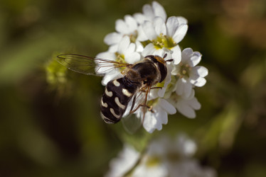 Similar image 22560670