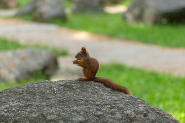 Similar image 22558974