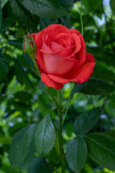 Similar image 22558975