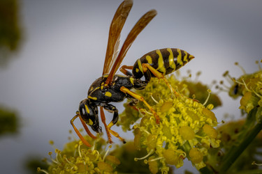 Similar image 22561654