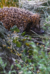 Similar image 22558976