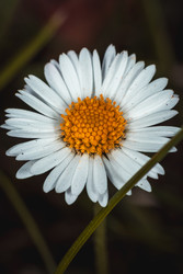 Similar image 22558977