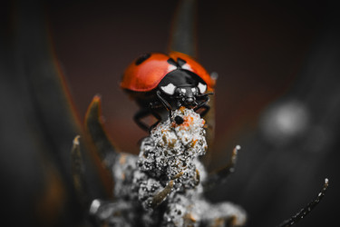 Similar image 22558978