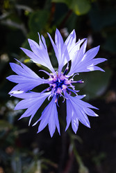 Similar image 22558979