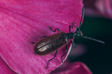 Similar image 22560671