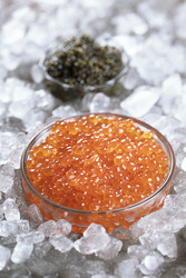 Similar image 22562033