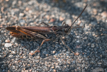 Similar image 22558980