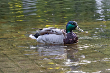 Similar image 22560672