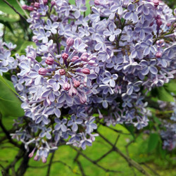 Similar image 22555854