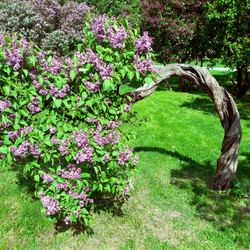 Similar image 22558877