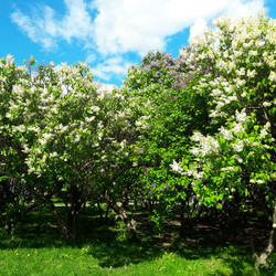 Similar image 22558879