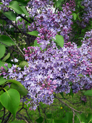 Similar image 22555859