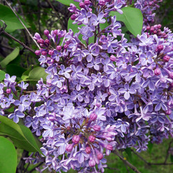 Similar image 22555860