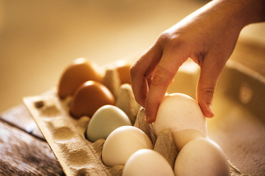 Similar image 22556242