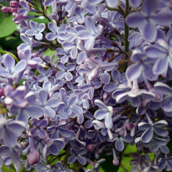 Similar image 22555862