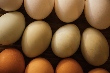 Similar image 22556250