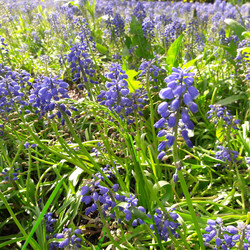 Similar image 22555865