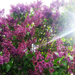 Similar image 22558884