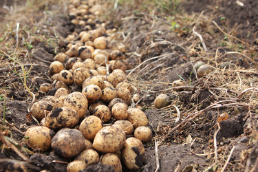 Similar image 22562080