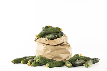 Similar image 22562093