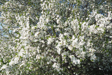 Similar image 22577203