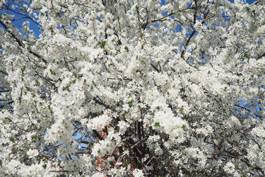 Similar image 22577204