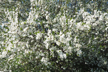 Similar image 22577205