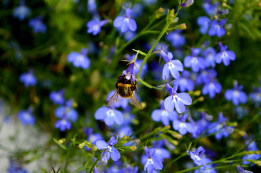 Similar image 22577311