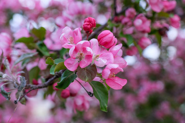 Similar image 22555507