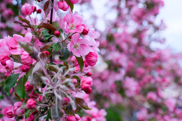 Similar image 22555508