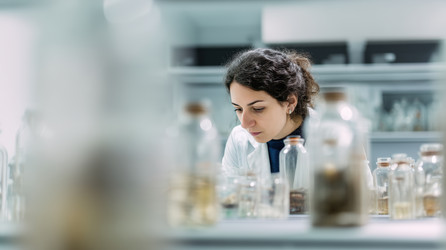 Similar image 22562840