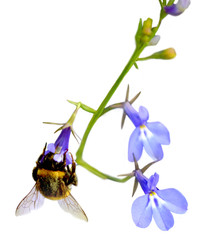 Similar image 22577312