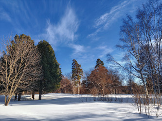 Similar image 22555488