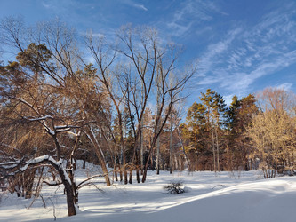 Similar image 22555489