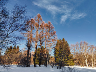 Similar image 22555490