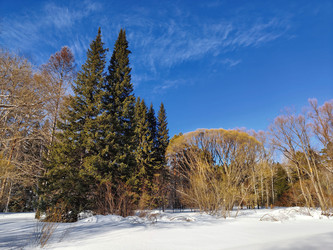 Similar image 22555492