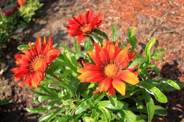 Similar image 22558986