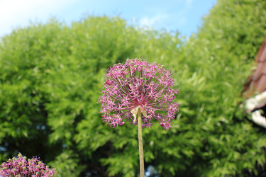 Similar image 22559001