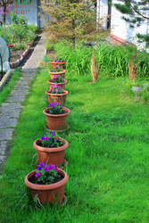 Similar image 22559004