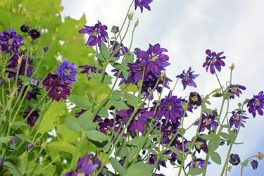 Similar image 22559007